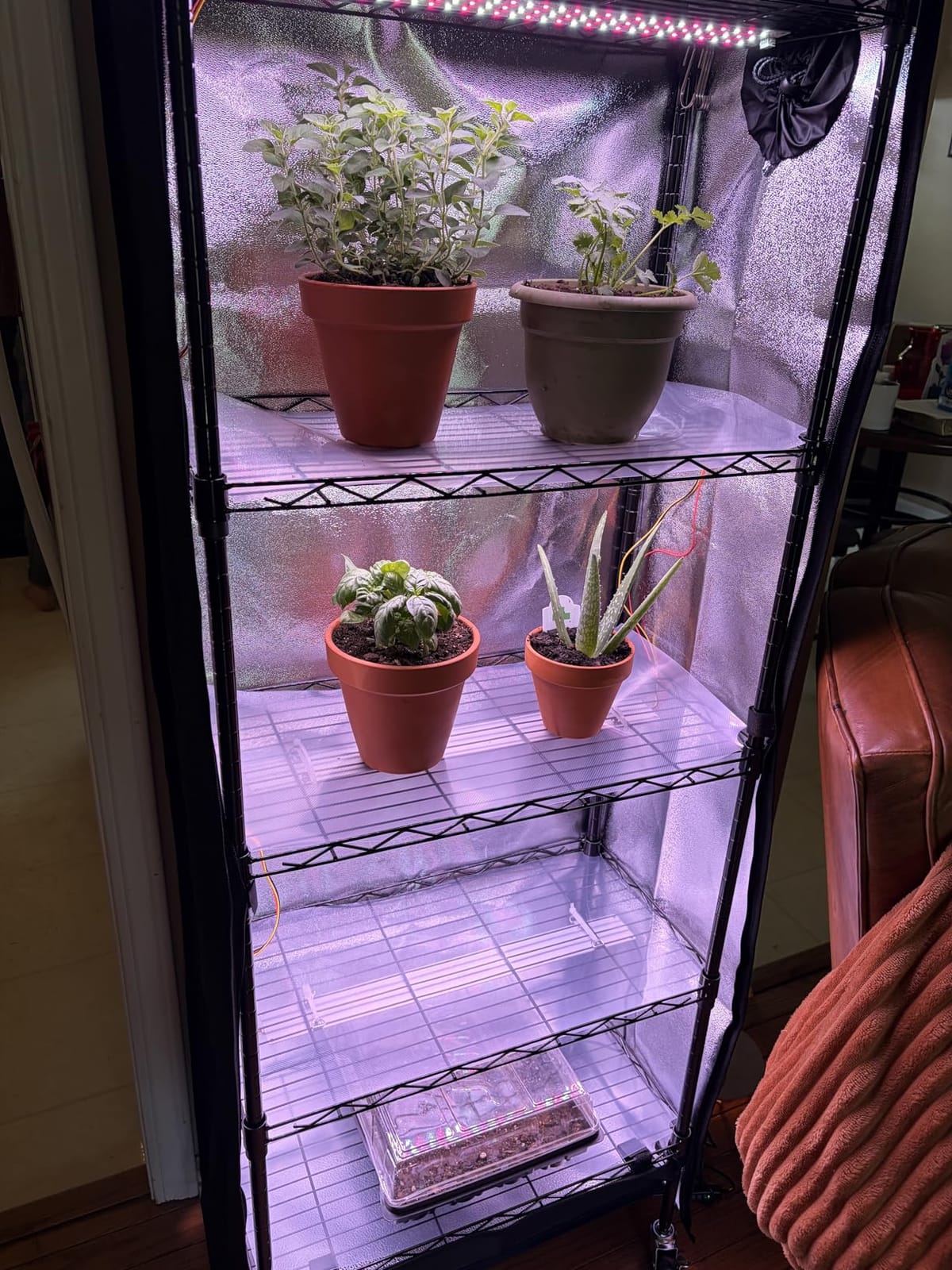 Indoor Greenhouse with Grow Light - 5 Tier DIY Plant Shelf with Cover, 4 Pack 48W Full Spectrum Grow Lights with Timer & 3 Color Mode for Indoor Plants, Seed Starting, Seed Tray 22x11.8x61 Inches customer photo 1