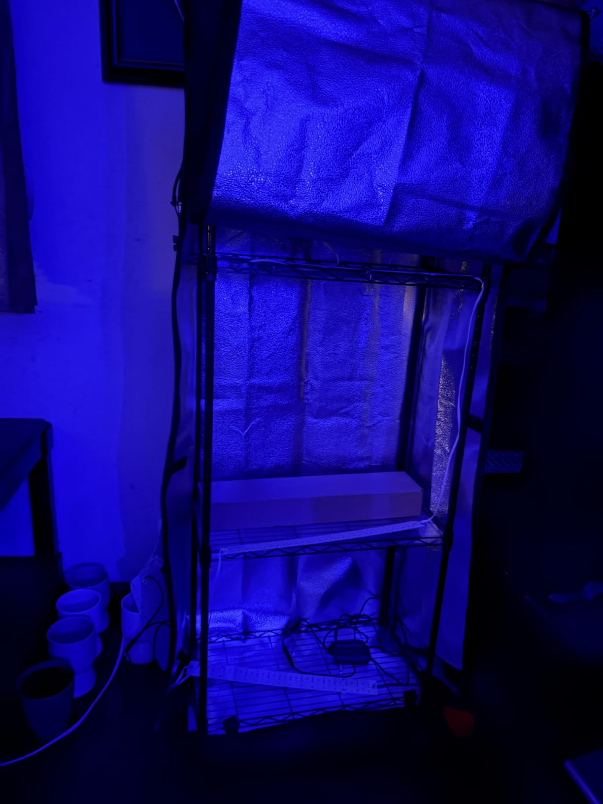 Indoor Greenhouse with Grow Light - 5 Tier DIY Plant Shelf with Cover, 4 Pack 48W Full Spectrum Grow Lights with Timer & 3 Color Mode for Indoor Plants, Seed Starting, Seed Tray 22x11.8x61 Inches customer photo 2