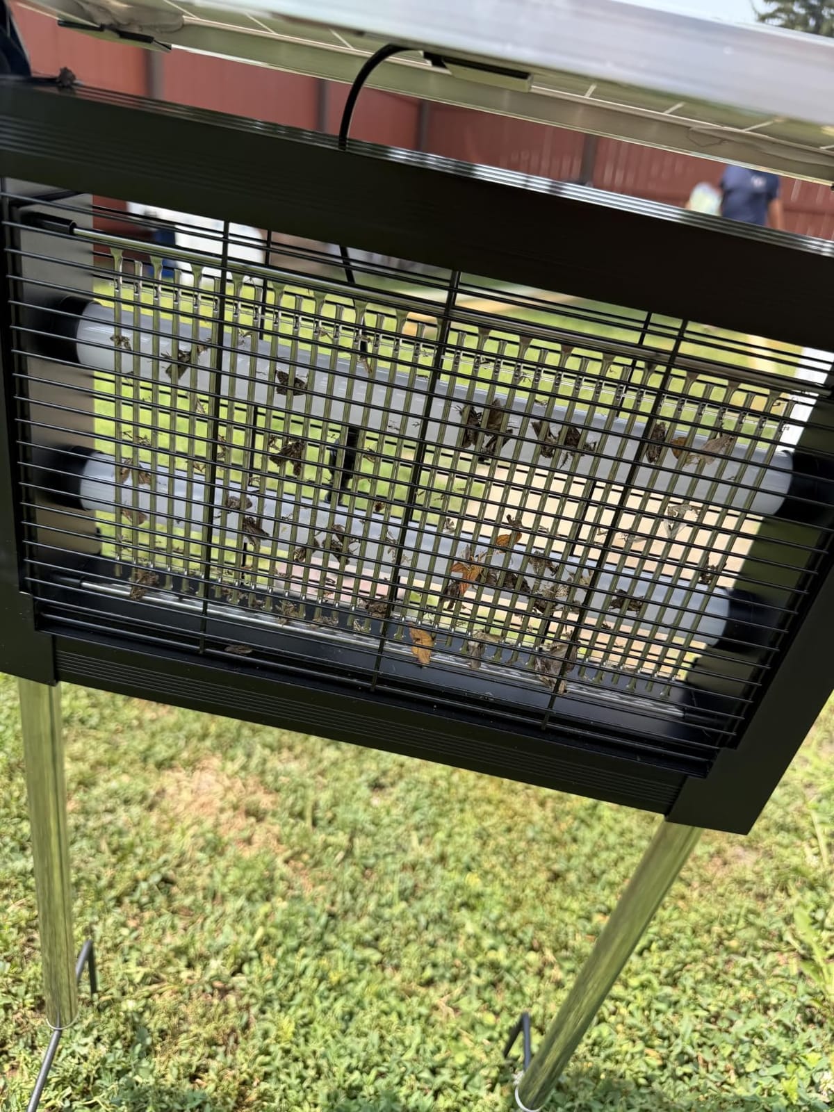 Solar Bug Zapper Outdoor, 4500V Mosquito & Fly Zapper with UV Light, Smart Auto Mode, 4000mAh USB-C Rechargeable Cordless Mosquito Killer Lamp, IP66 Waterproof for Patio Backyard Garden Camping customer photo 2