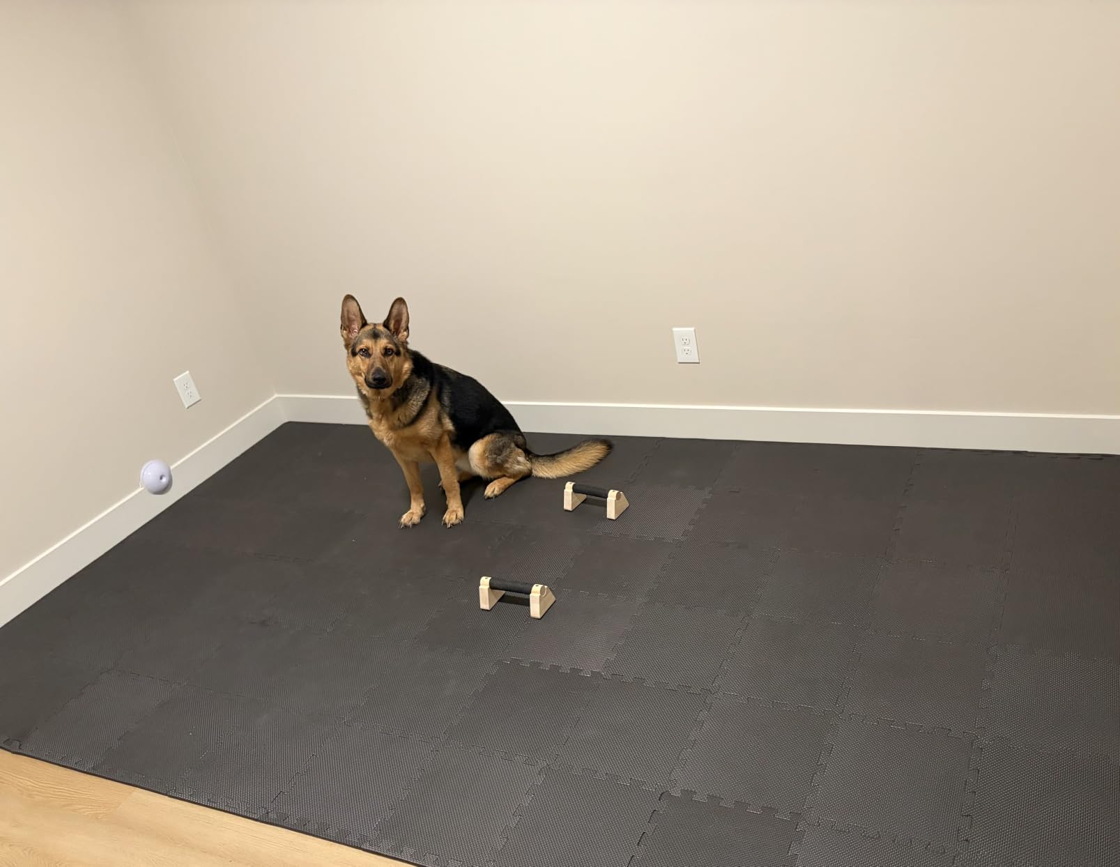 bemaxx Gym Mats Set - EVA Interlocking Foam Floor Tiles Workout Mat Puzzle customer photo 2