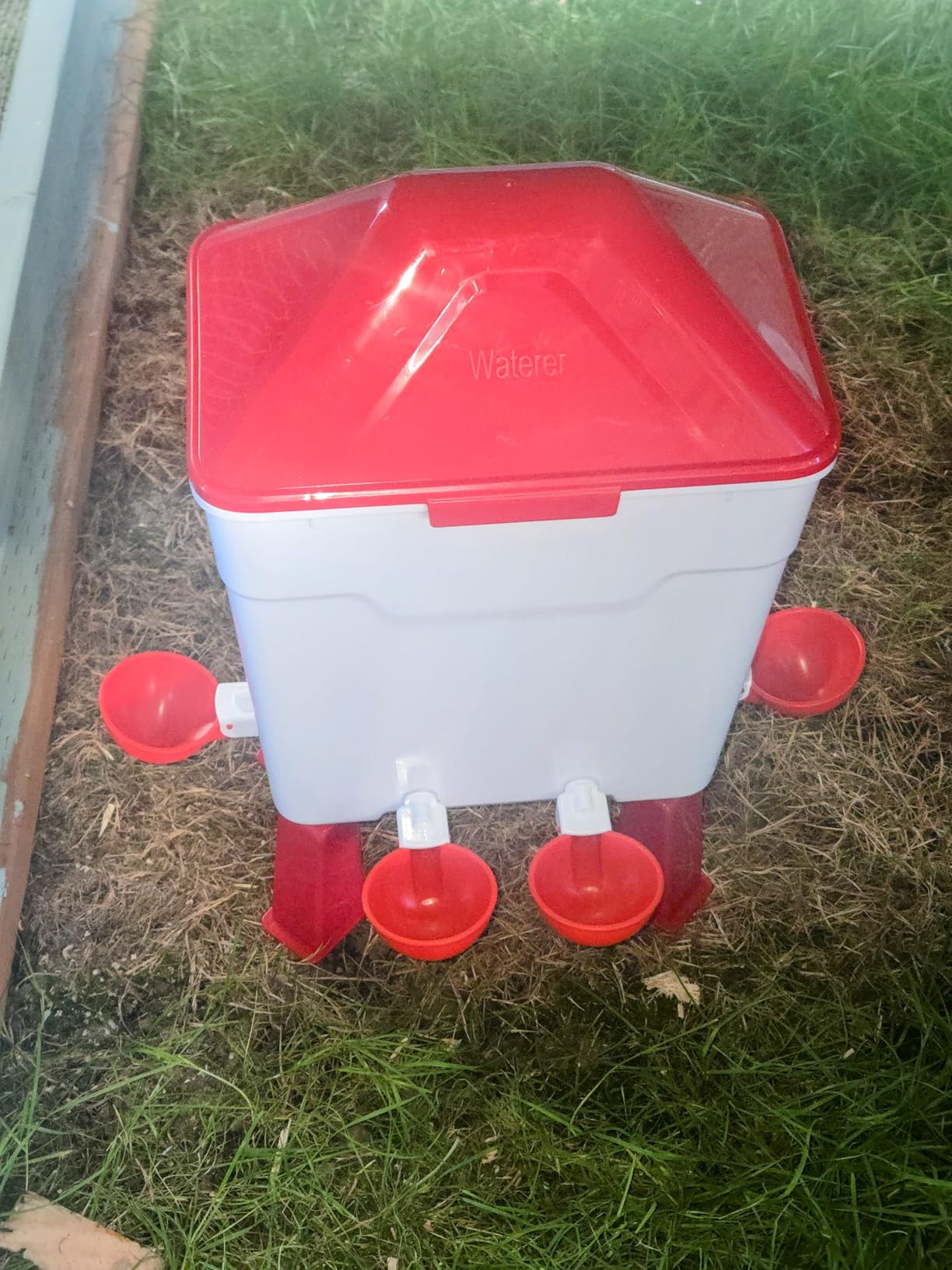 3 Gallon Automatic Chicken Waterer, Hands-Free Hydration customer photo 2