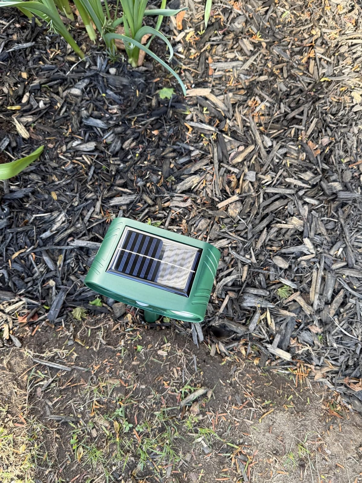 Solar Ultrasonic Animal Repellent Outdoor with Motion Sensor Strobe Light customer photo 2