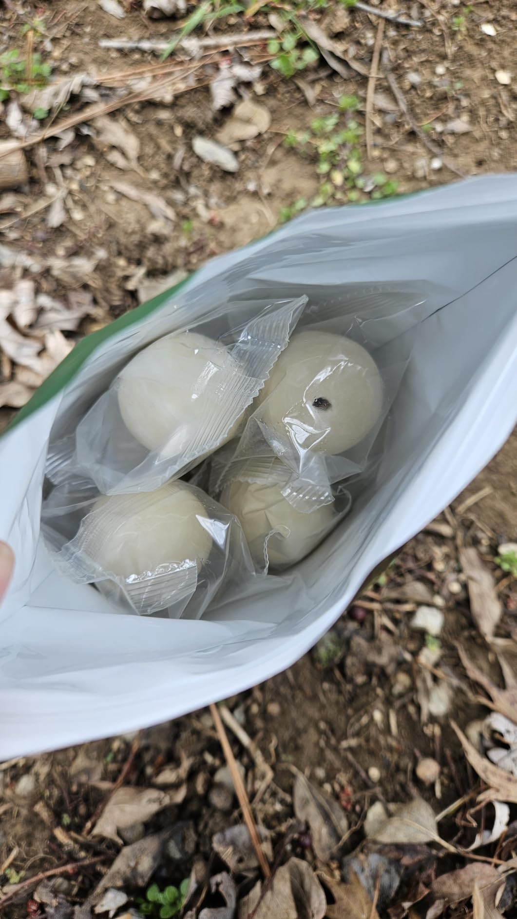 Mole & Snake Repellent, Gopher Repellent Outdoor, Vole & Snake Repellent for Yard, Armadillo & Groundhogs Deterrent for Lawn Pet Safe, Keep Snake Away for Garden/Garage, Safe to Use-8P customer photo 1
