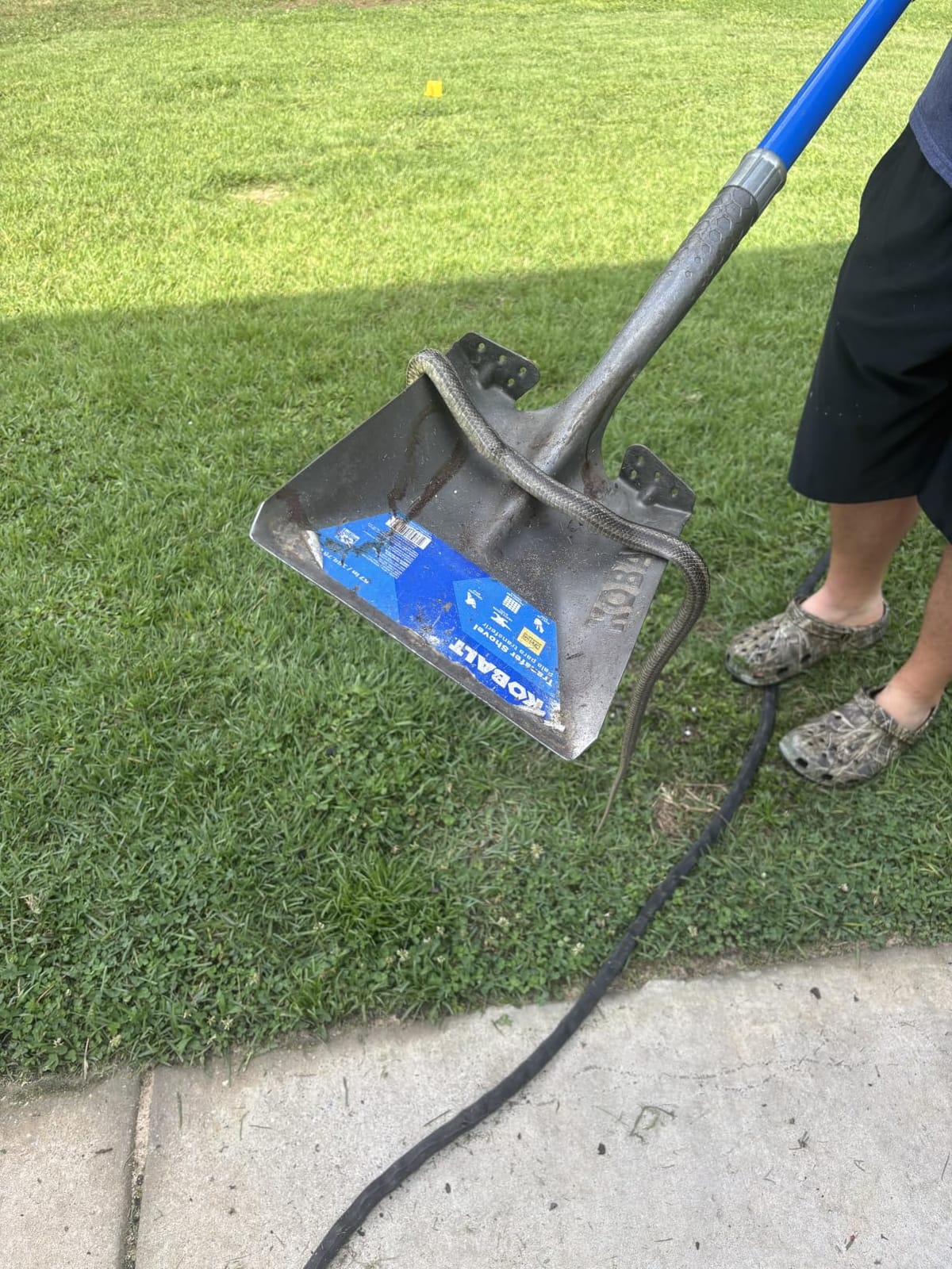 Mole & Snake Repellent, Gopher Repellent Outdoor, Vole & Snake Repellent for Yard, Armadillo & Groundhogs Deterrent for Lawn Pet Safe, Keep Snake Away for Garden/Garage, Safe to Use-8P customer photo 2