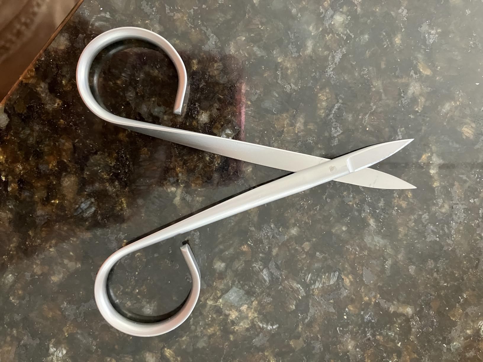 FVION Thick Toe Nail Scissors for Seniors - Precision Nail Scissor for Thick & Ingrown Nails, Stainless Steel Toenail and Fingernail Scissors with Ergonomic Handle (Silver) customer photo 1