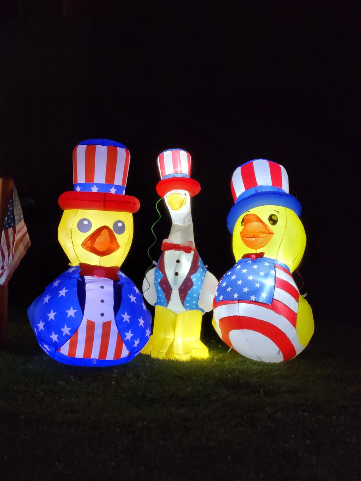 5Ft 4th of July Inflatables Outdoor Decorations with Built-in LED Lights, Patriotic Goose Giant Blow Up Yard Decorations, Inflatable Decor for Independence Day Memorial Day Fourth of July Yard Garden customer photo 2