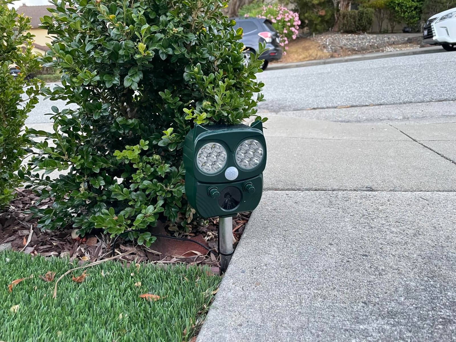 Solar Animal Repeller, Ultrasonic Repellent, Motion Detection, LED Flashing Light, Dog, Cat Repellent, Squirrel, Raccoon, Skunk, Rabbit, Rodent, Fox, Deer, etc. customer photo 1