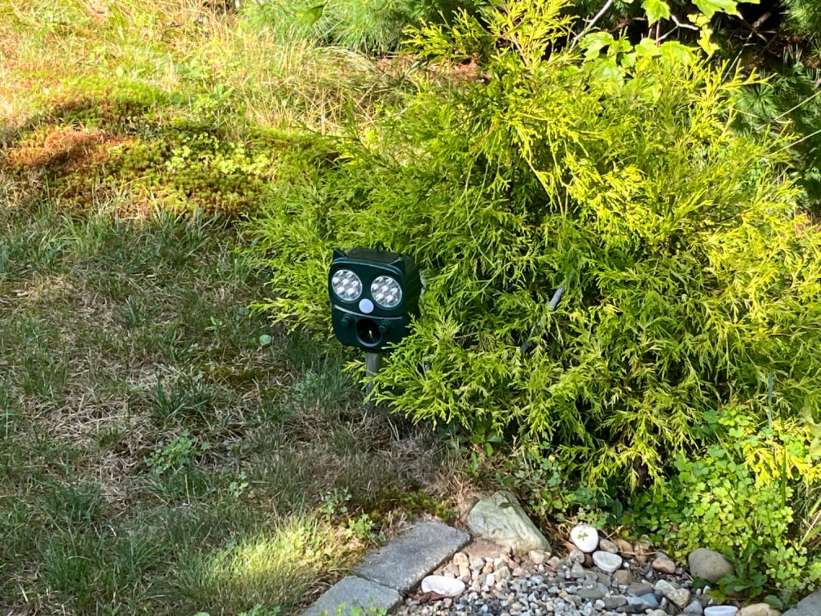 Solar Animal Repeller, Ultrasonic Repellent, Motion Detection, LED Flashing Light, Dog, Cat Repellent, Squirrel, Raccoon, Skunk, Rabbit, Rodent, Fox, Deer, etc. customer photo 2