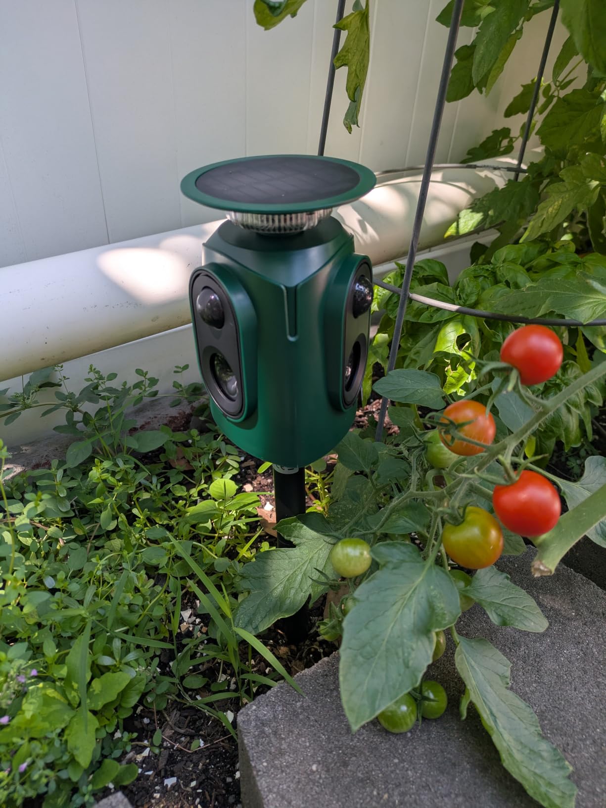 Upgraded Solar Ultrasonic Animal Repellent,360° Cat Repellent Outdoor with Motion Sensor,IP65 Waterproof Dog Repeller with Flash Light to Drive Away Rabbit Deer Squirrel Skunk for Yard Garden Lawn customer photo 2
