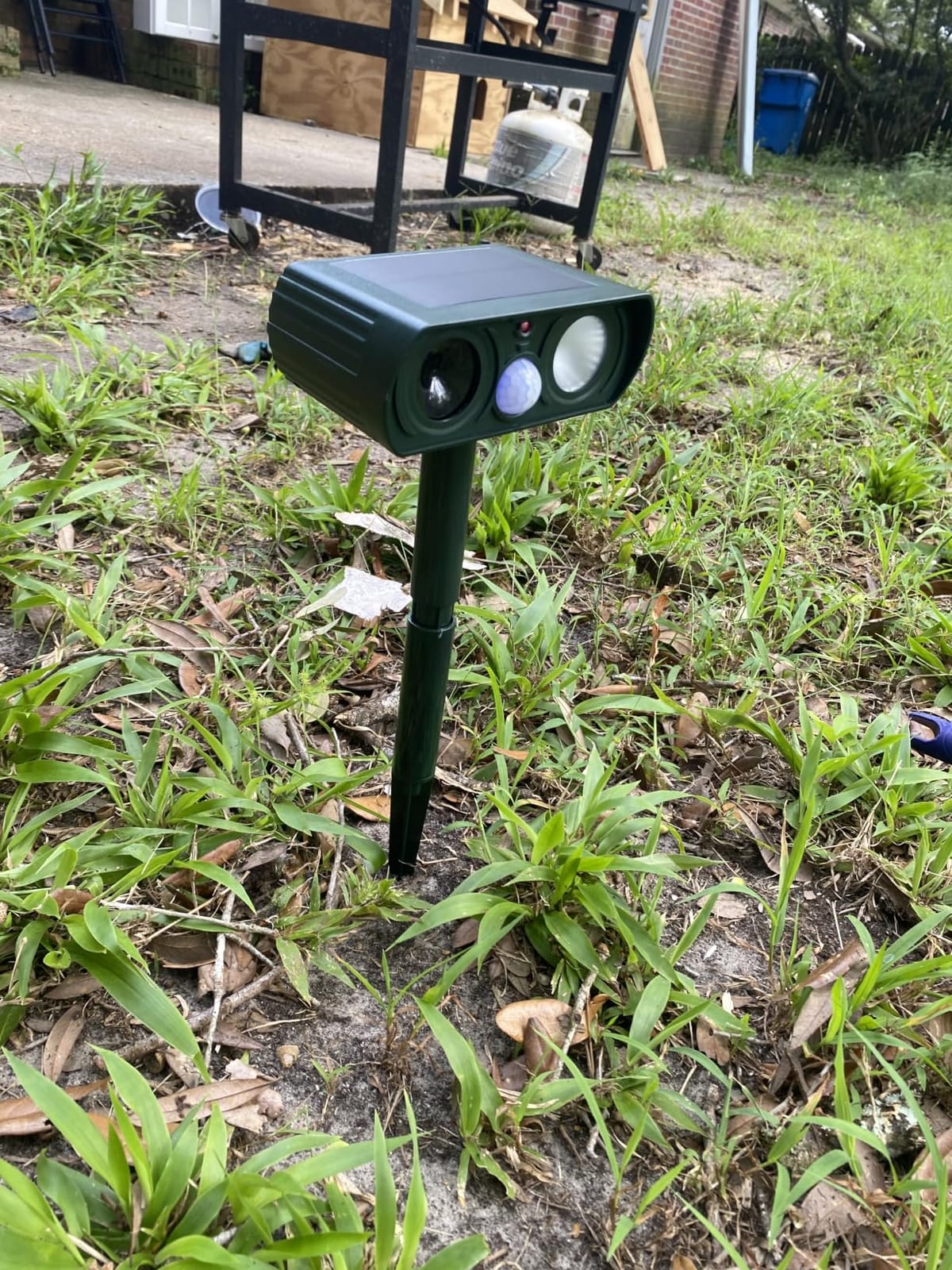 Solar Ultrasonic Animal Repellent Outdoor, Deer Repellent Devices Waterproof, Cat Squirrel Rabbit Dog Raccoon Deterrent Animal Repeller with Motion Detection, Keep Skunk Away for Yard, Green, 2 Pack customer photo 2
