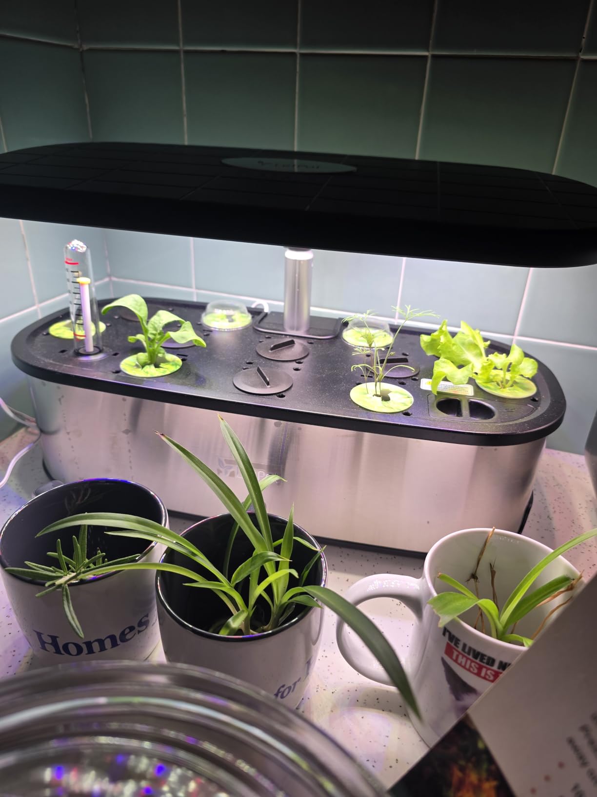 LETPOT LPH-Max 21-Pod Hydroponic Growing System Kits, Smart Indoor Garden with APP & WiFi Control, Auto Watering & Nutrient Supply, 36W Full Spectrum LED Grow Light, 7.5L Tank, Up to 30