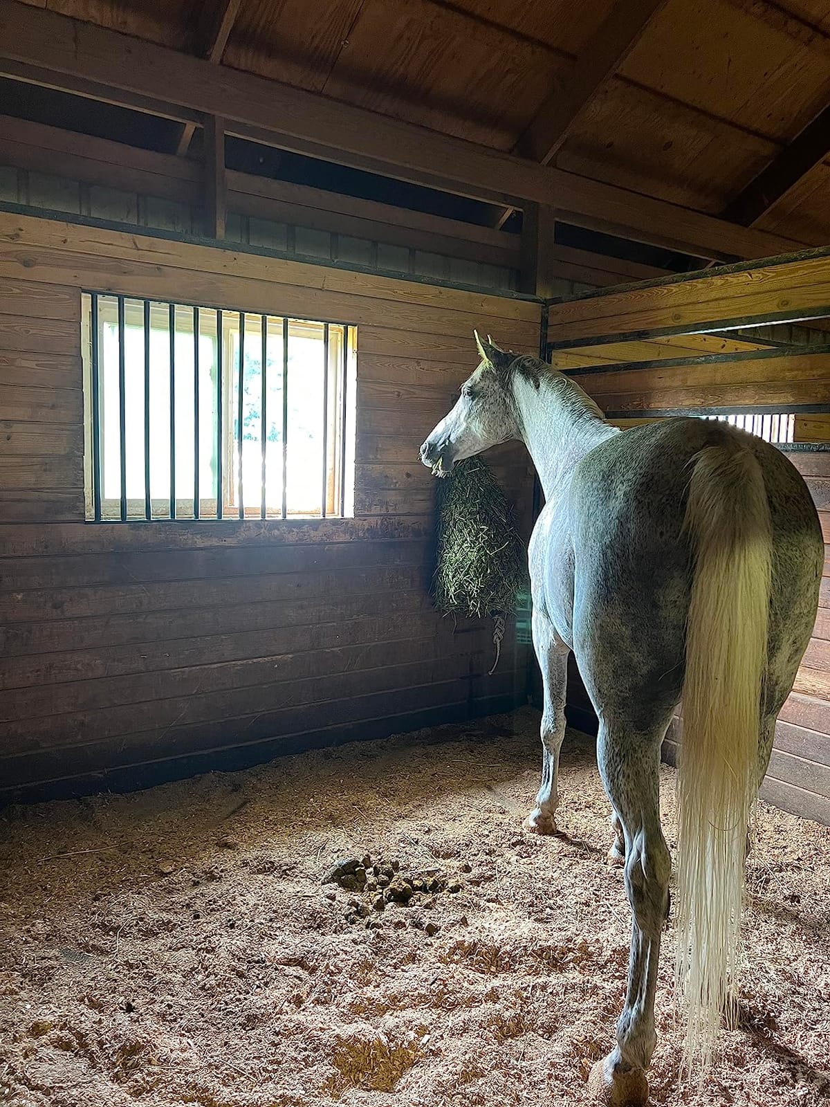 hay chix Half Bale Hay Net for Horses | 1 3/4