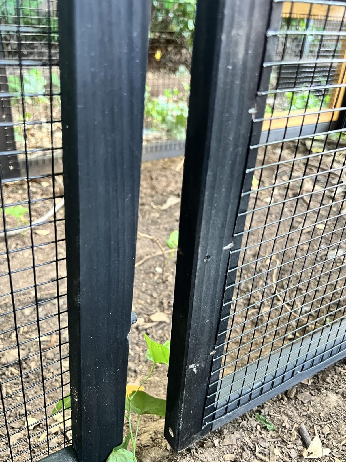 Petsfit Outdoor Chicken Coop with Run for 4-6 Chickens, 3 Nesting Boxes customer photo 2