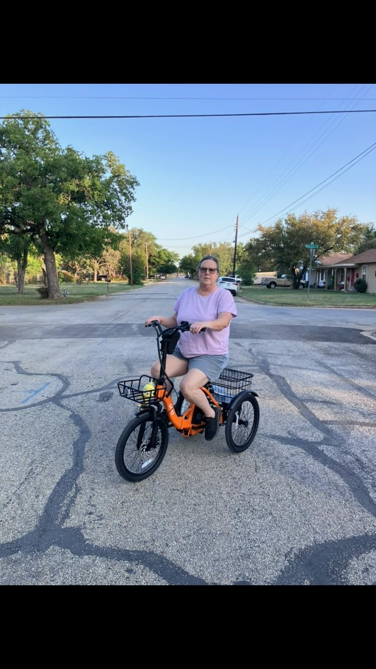 Qlife Electric Bike for Adults, 1200W Peak Brushless Motor Folding Electric Trike, 48V Removable Battery, 18