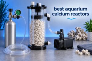 best aquarium calcium reactors