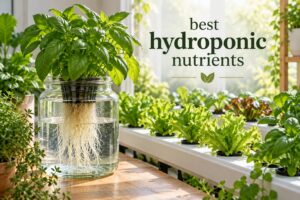 best hydroponic nutrients