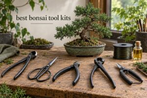 best bonsai tool kits
