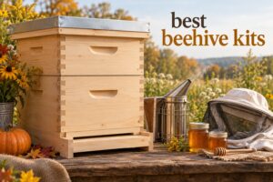 best beehive kits