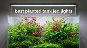 best planted tank led lights