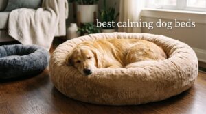 best calming dog beds