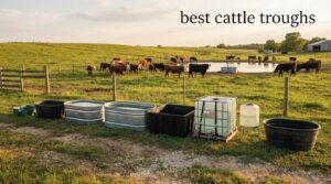 best cattle troughs