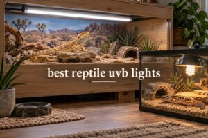 best reptile uvb lights