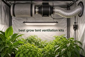 best grow tent ventilation kits