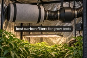 best carbon filters for grow tents