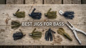best jigs for bass