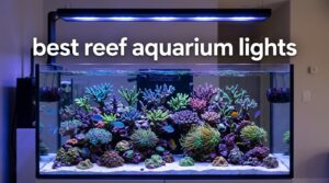 best reef aquarium lights