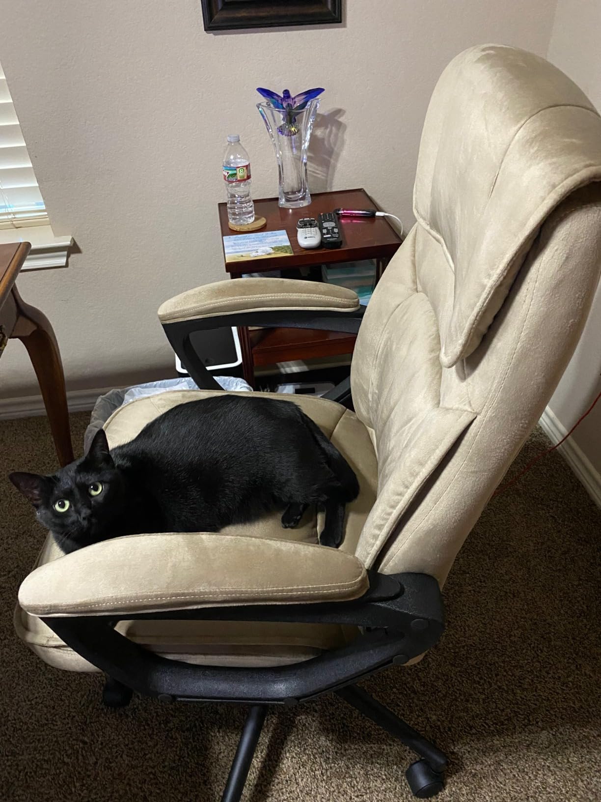 Serta Executive Office Chair Lumbar Support, Padded Arms Microfiber Chair customer photo 1