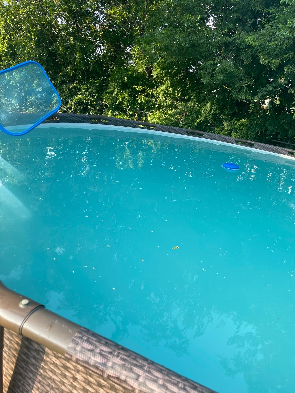 Rx Clear Radiant Complete Sand Filter System for Above Ground Swimming Pool customer photo 2