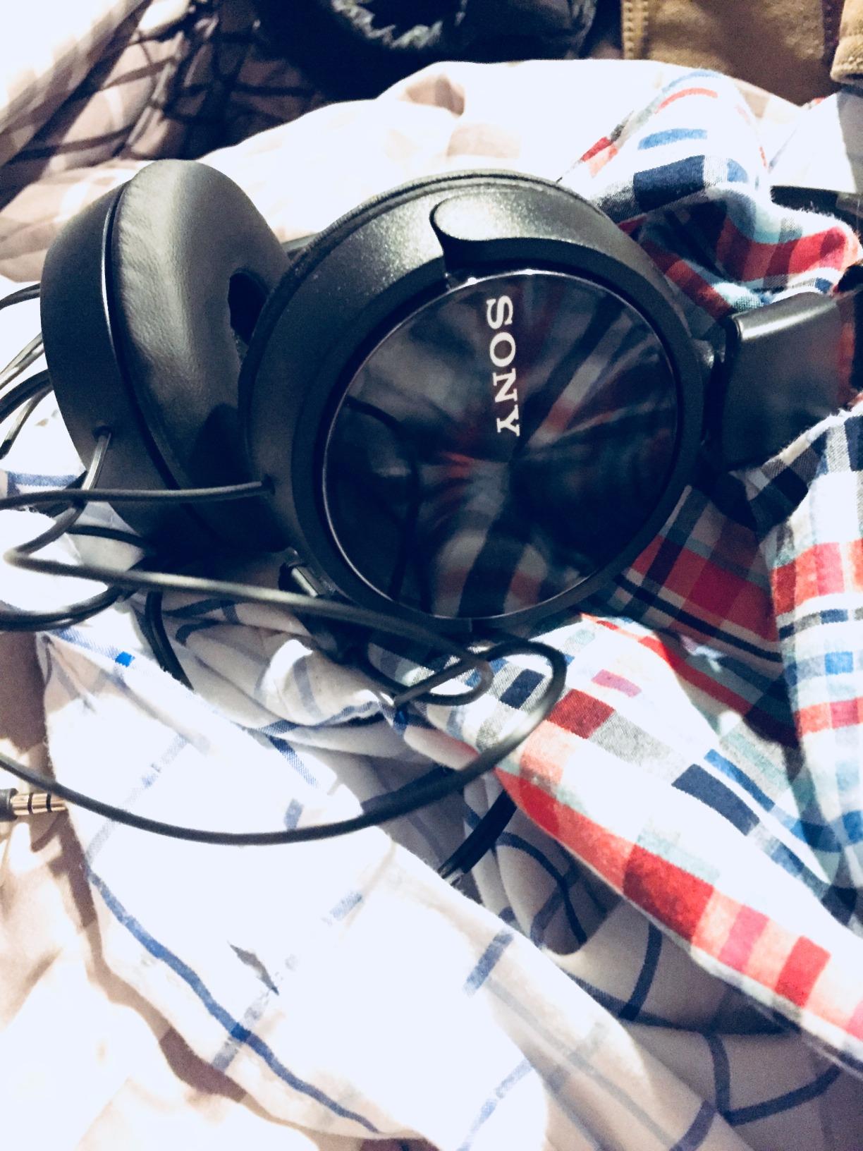 Sony MDR-ZX310AP customer photo 2