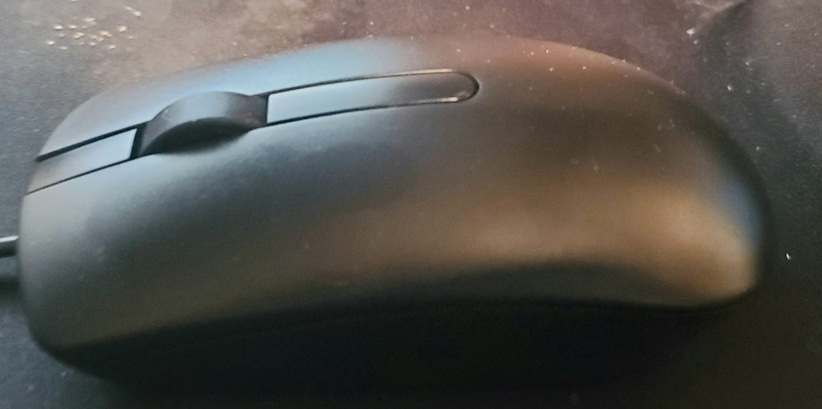 Dell Wired Mouse MS116, Black customer photo 2