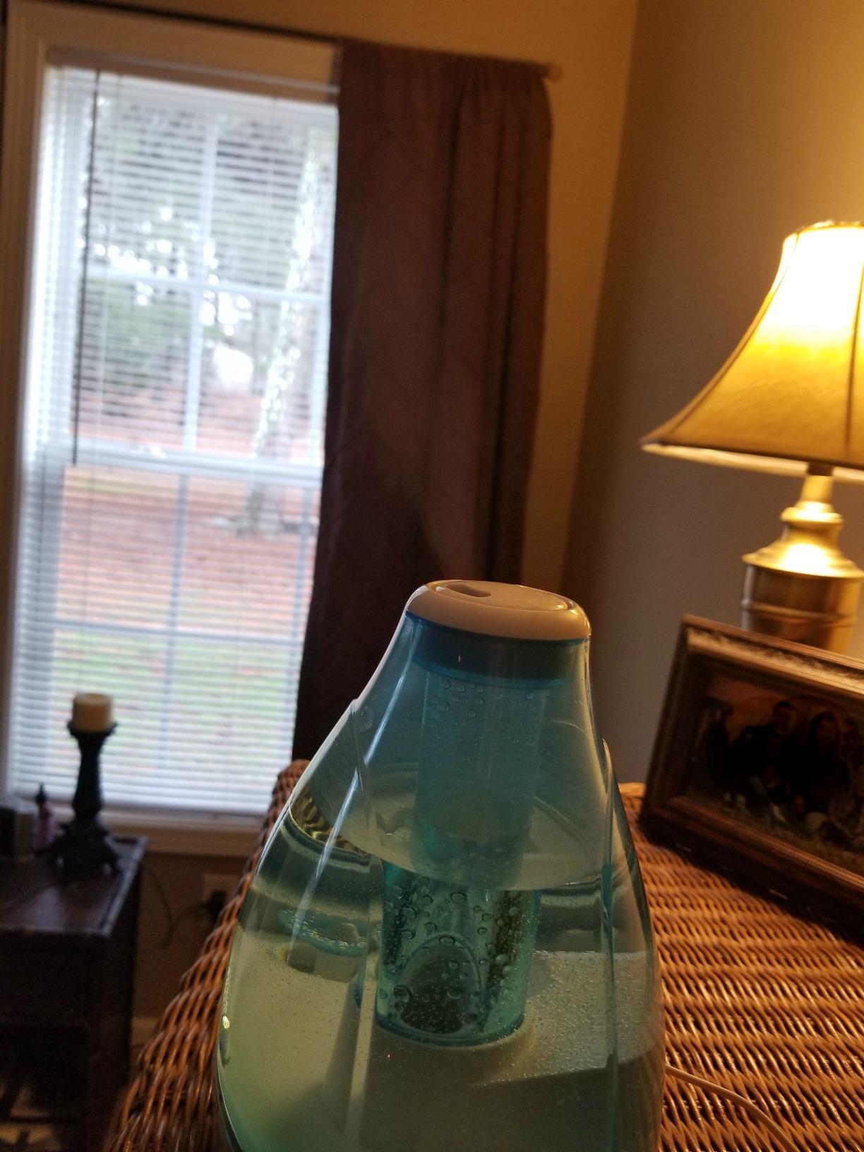 Pure Enrichment MistAire customer photo 1