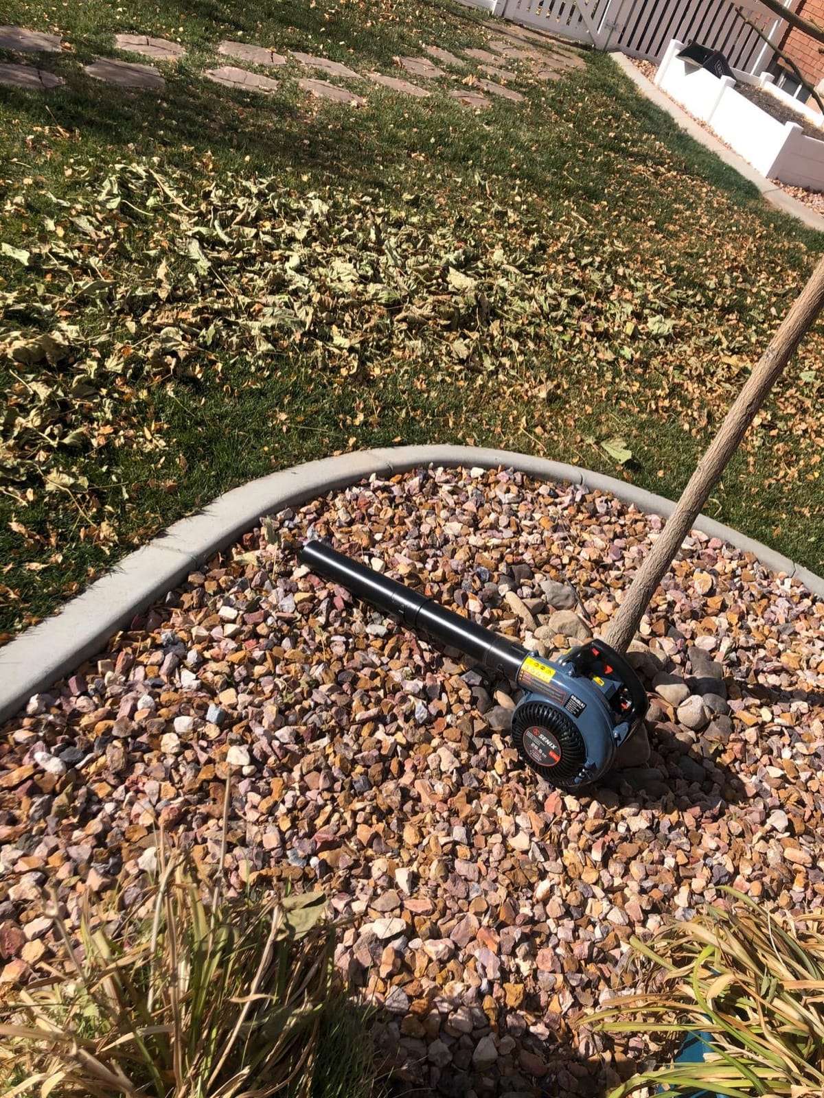 SENIX BL4QL-L customer photo 2