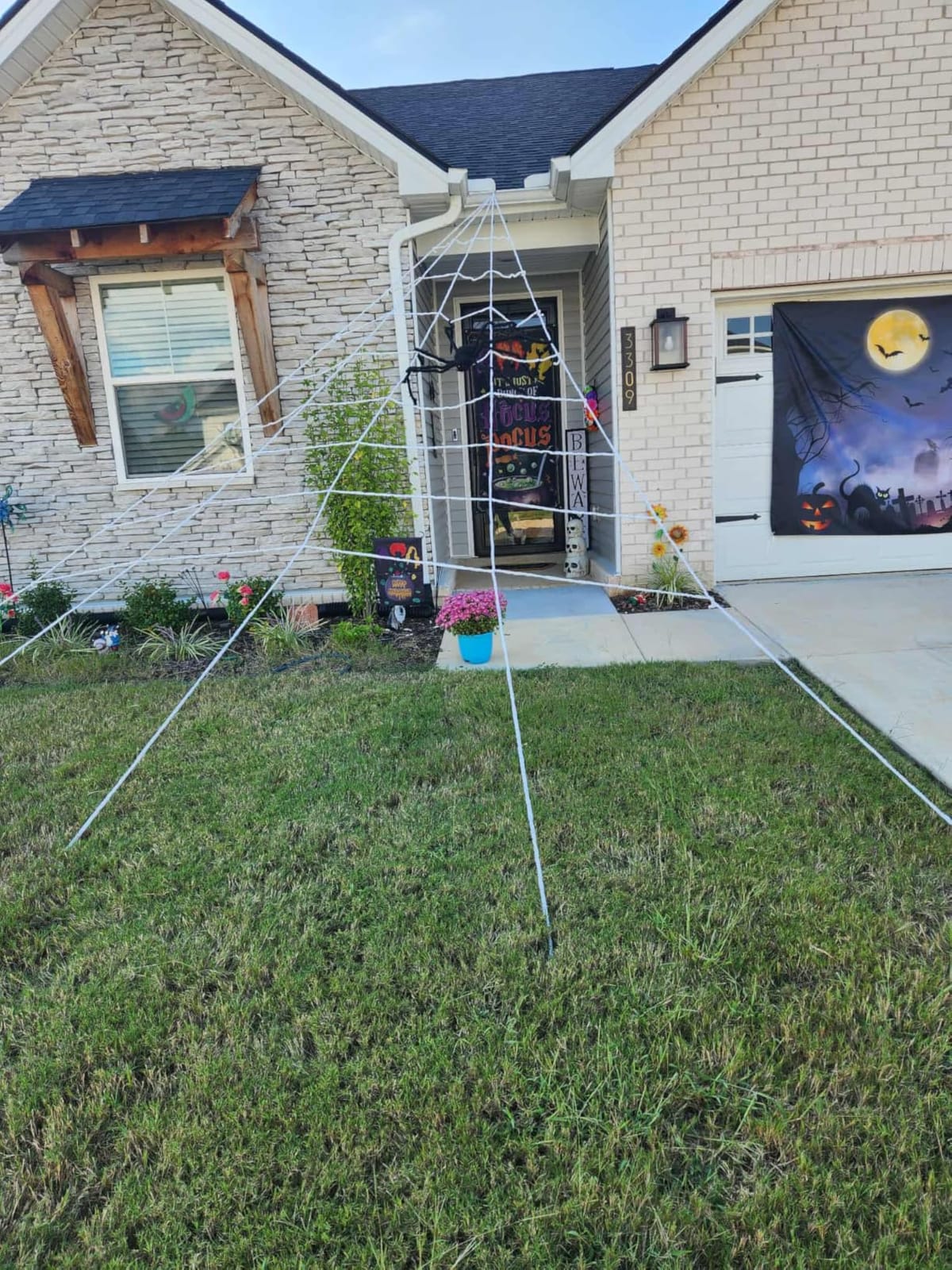 OCATO Spider Web Set customer photo 2