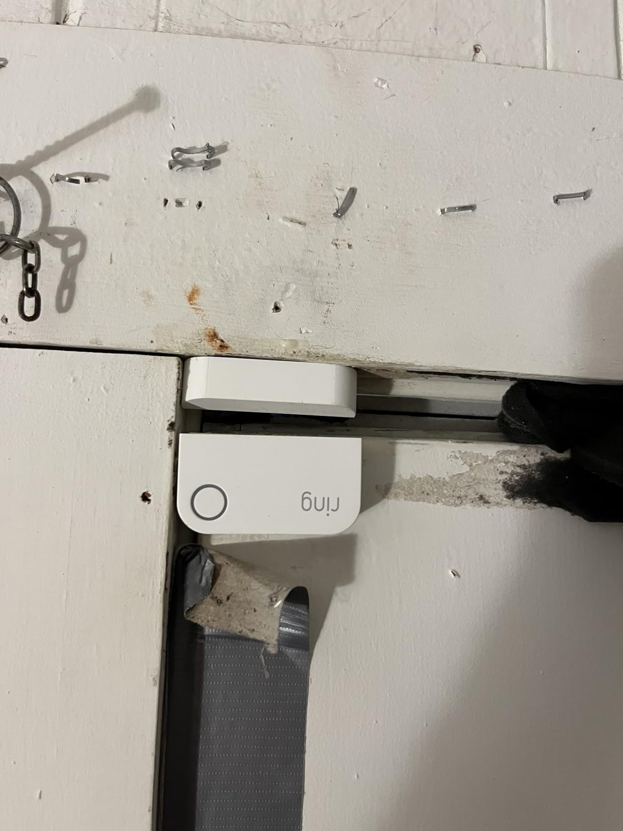 Ring Contact Sensor 6-Pack customer photo 1