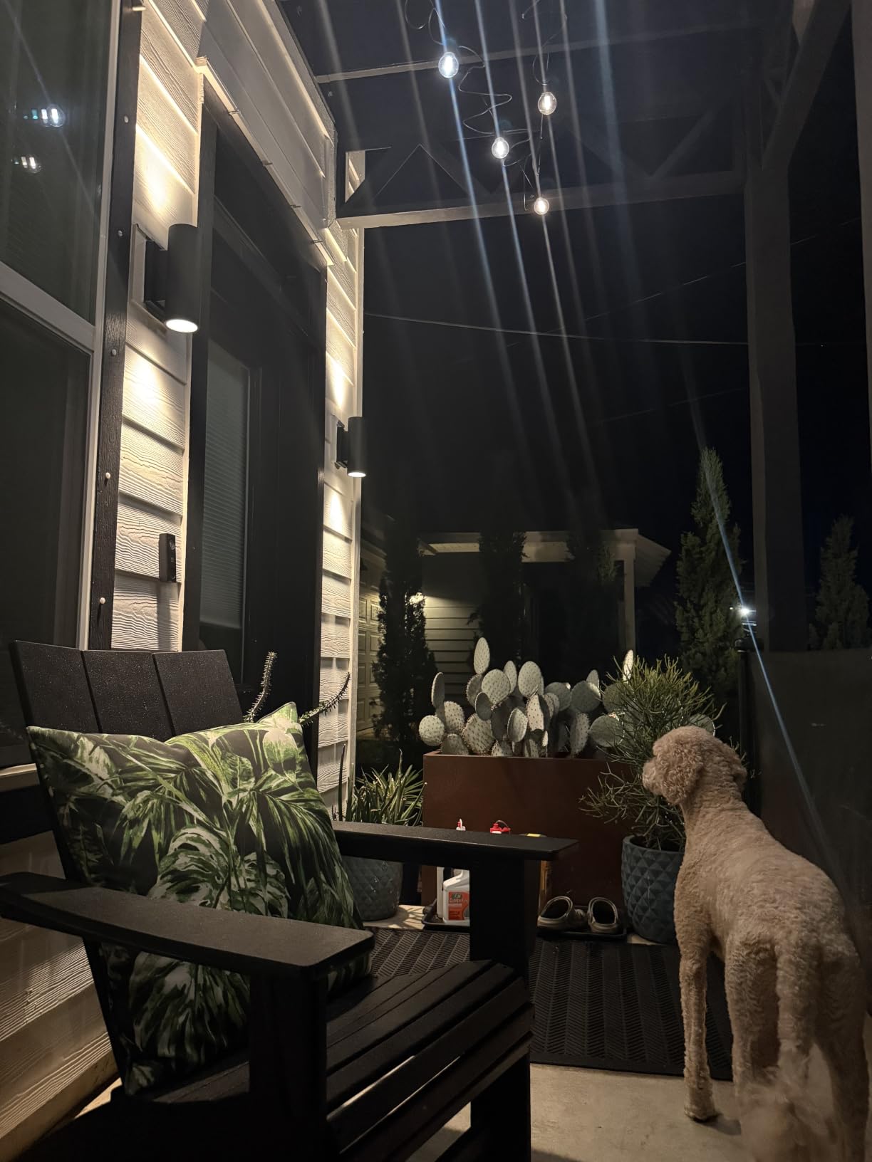 Philips Hue Appear Outdoor Smart Wall Light, 1-Pack, Black customer photo 1
