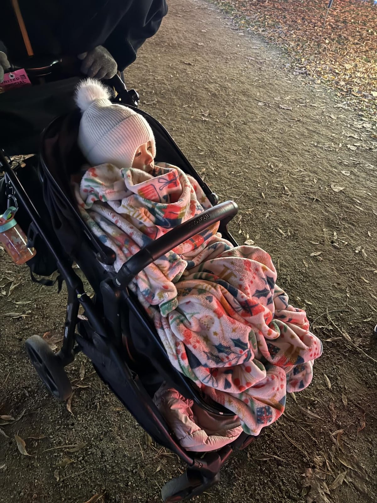 Mompush Wiz 2-in-1 customer photo 2