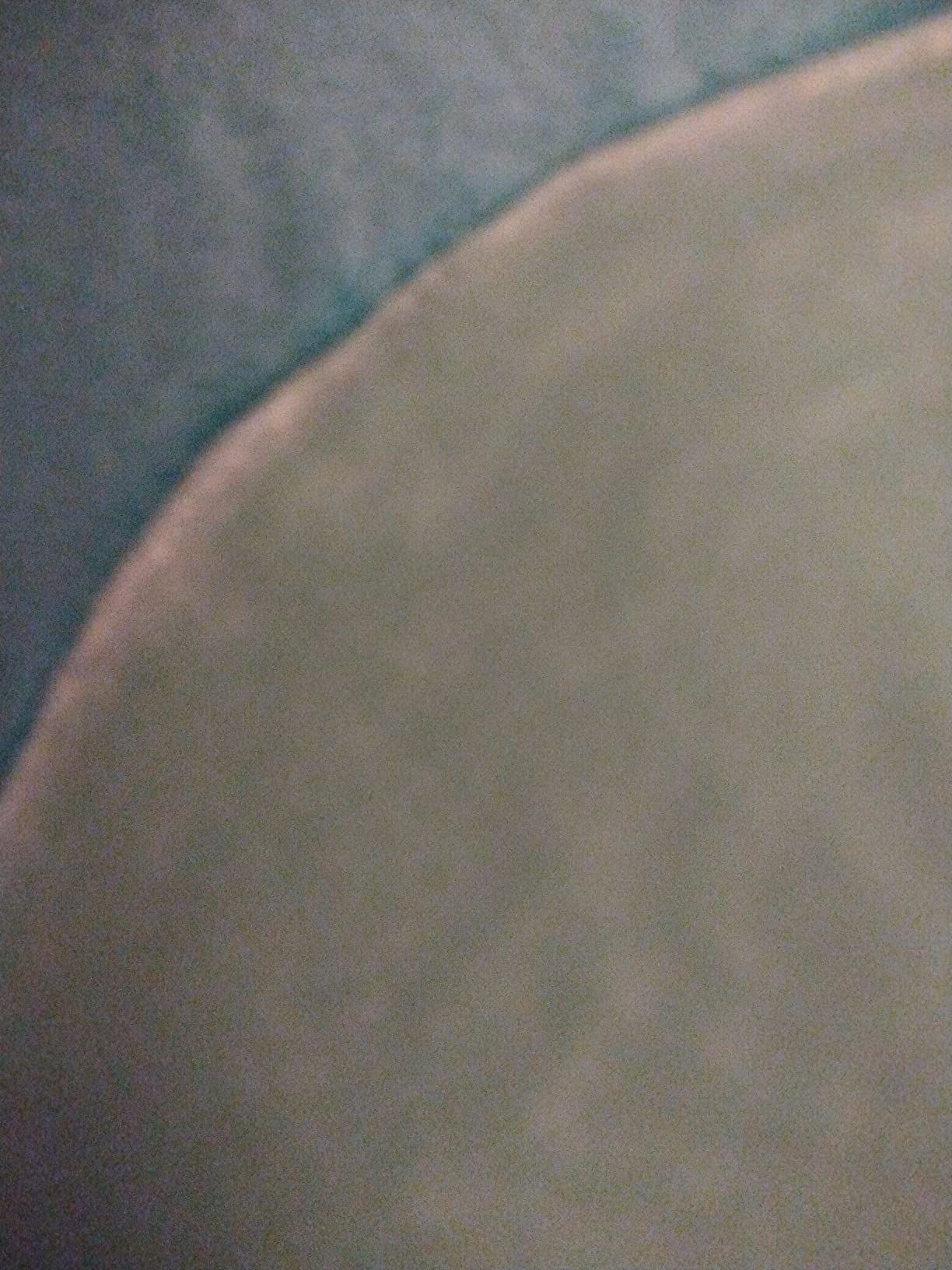 Squishmallows Ludwig Teal Frog customer photo 1
