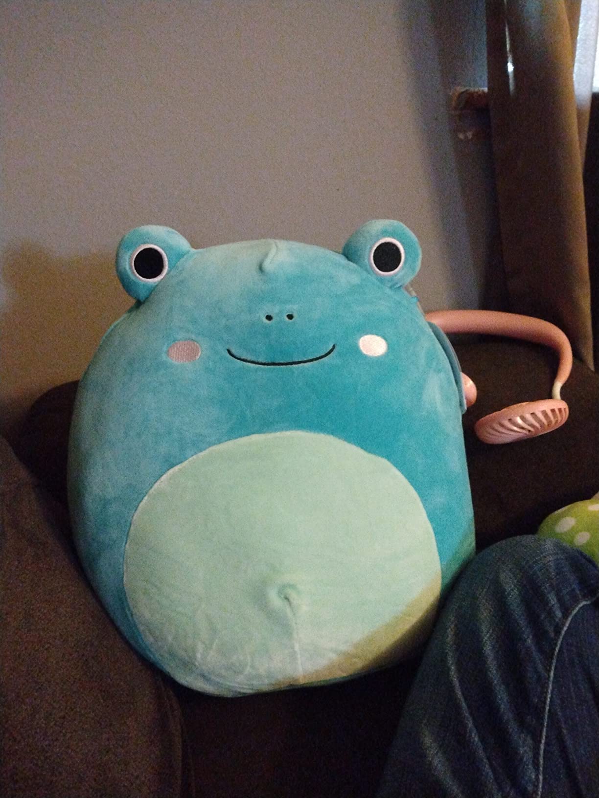 Squishmallows Ludwig Teal Frog customer photo 2