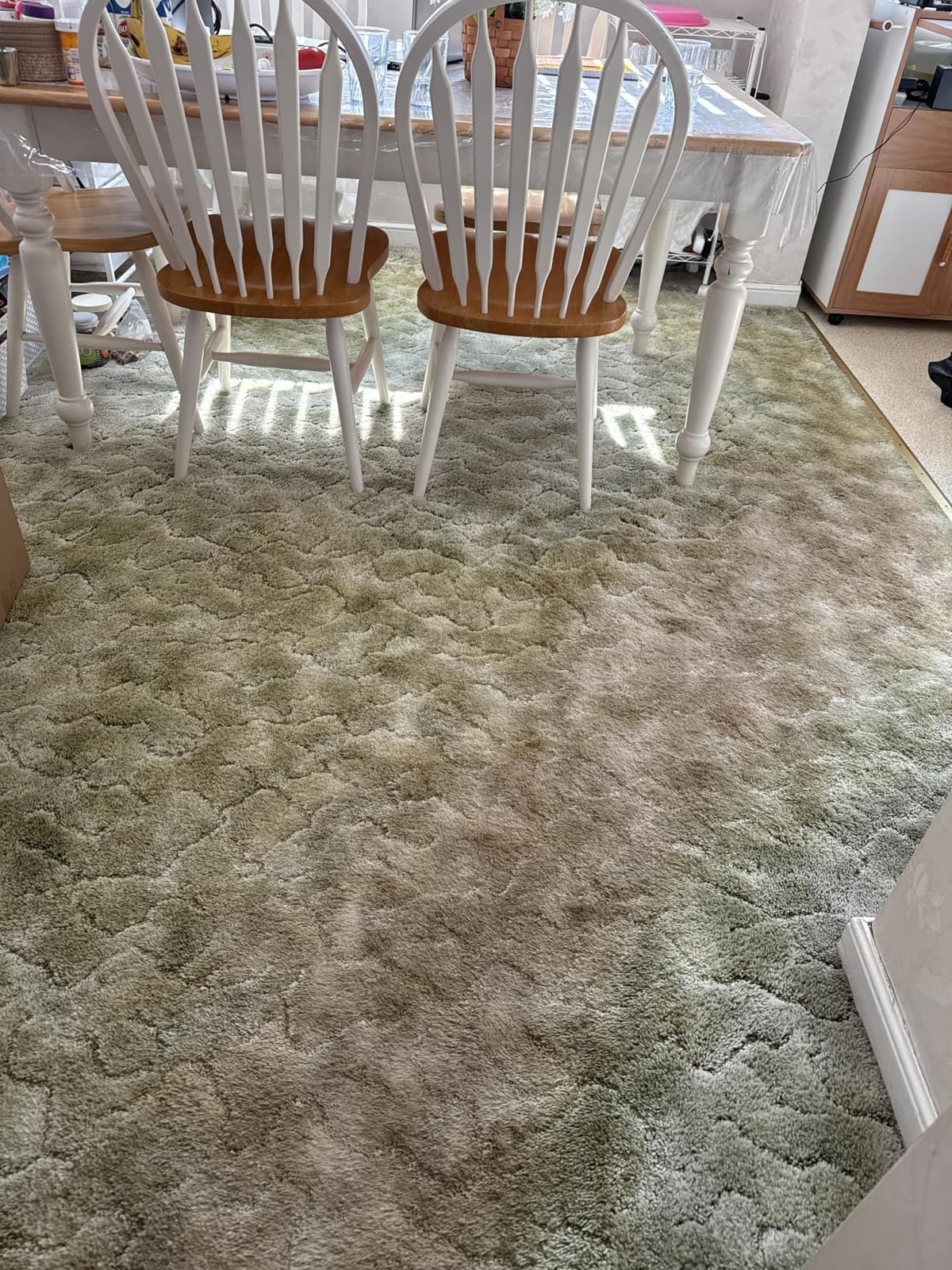 Bissell CleanView Compact 3508 customer photo 1
