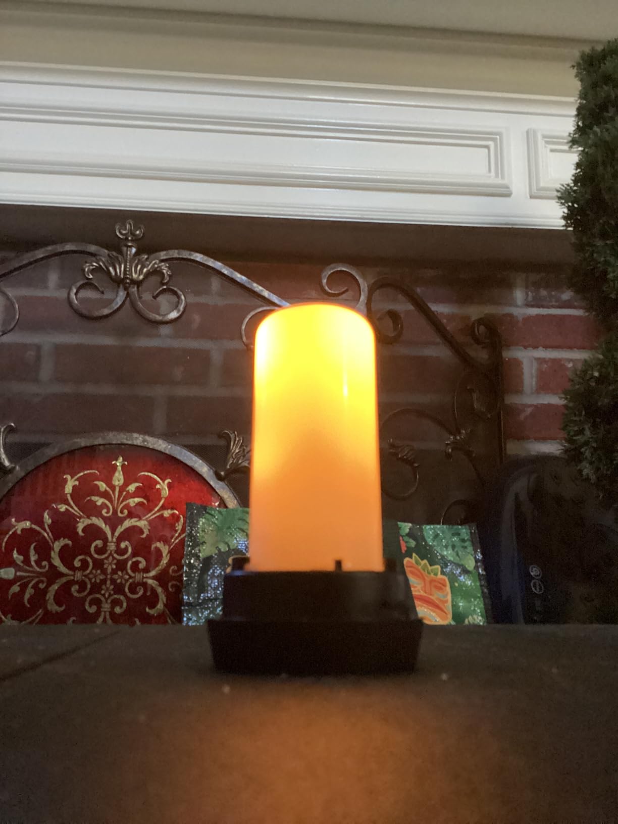 IkeeRuic Solar Torch Lights customer photo 1