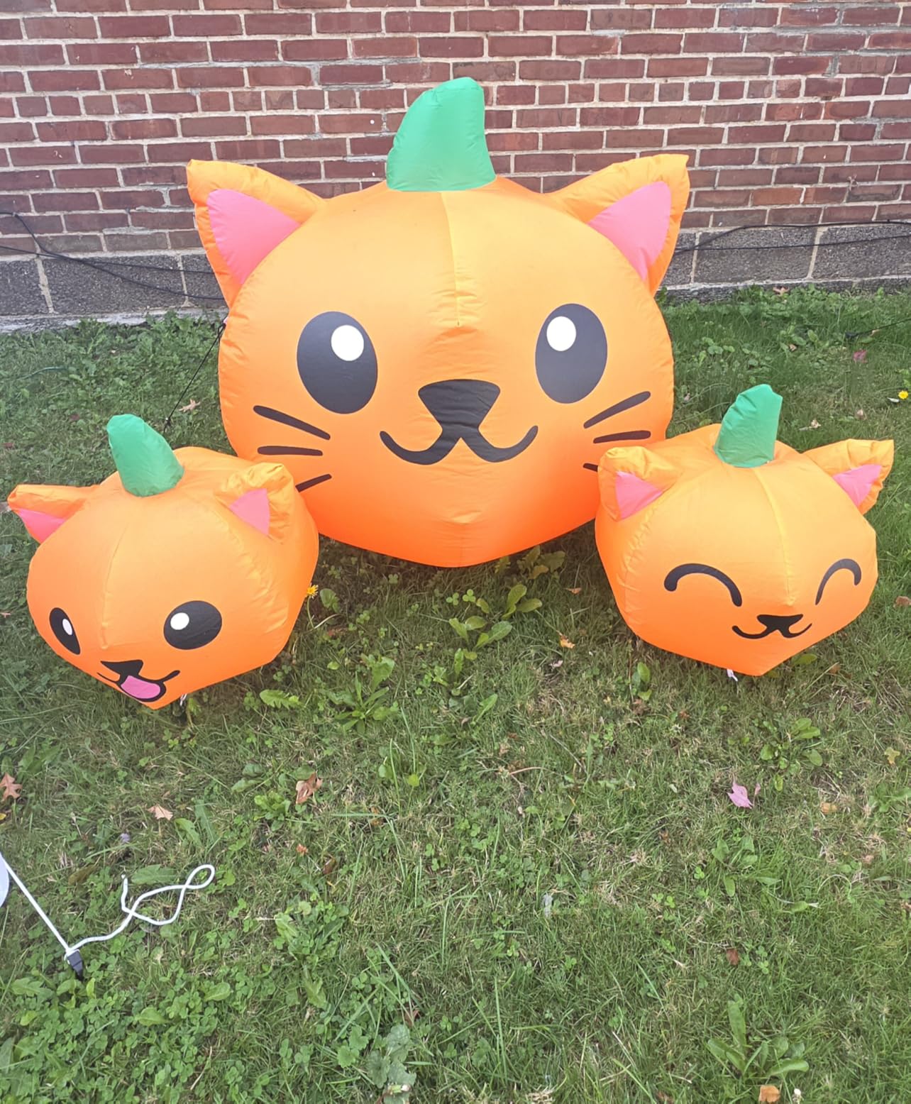 COMIN Pumpkin Cat Inflatable customer photo 2