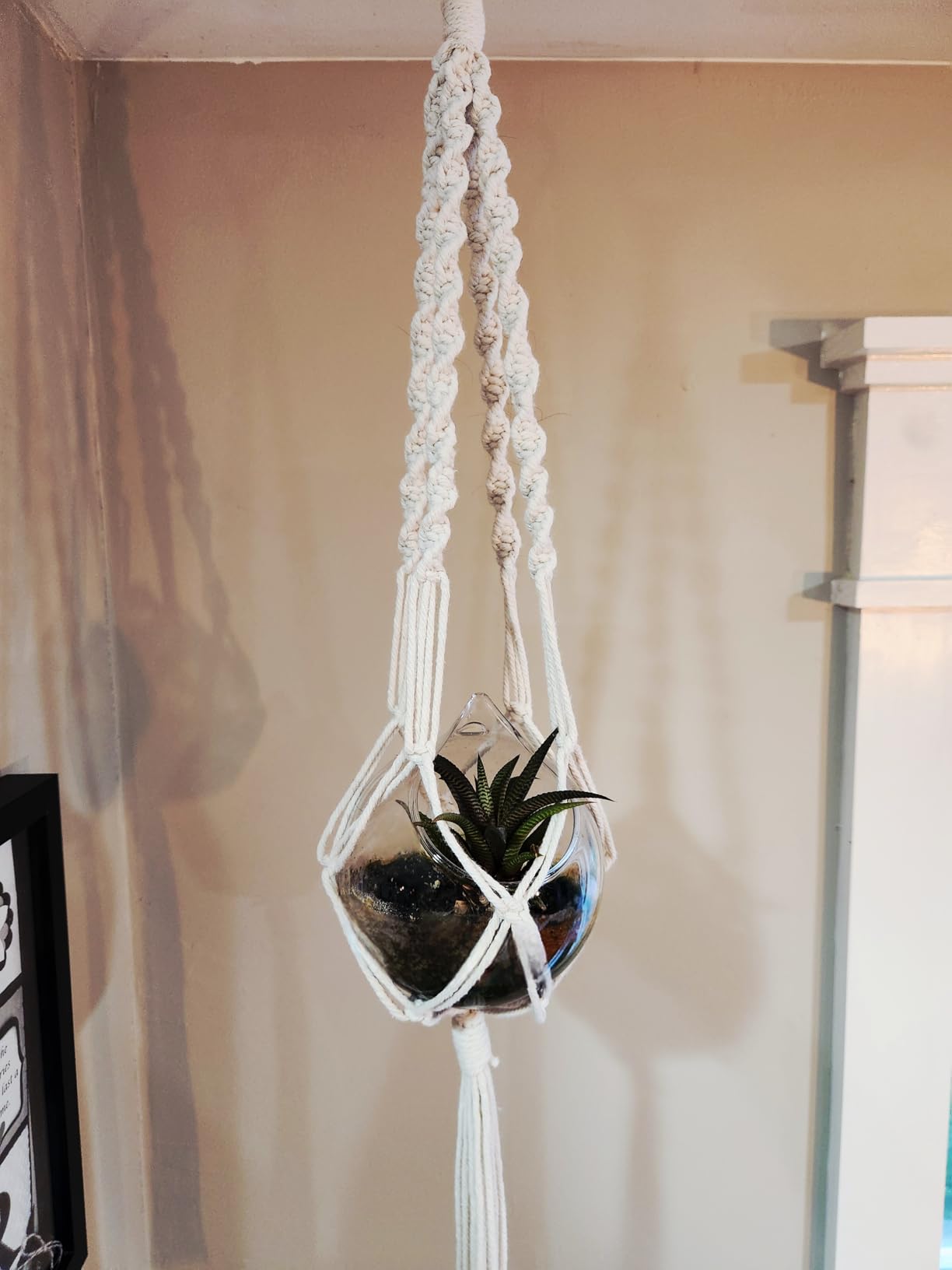 UHAPEER Macrame Kits for Adults Beginners with 656 Feet 3 mm Cotton Cord customer photo 2