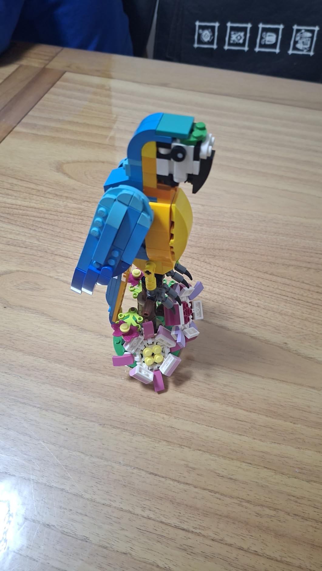 LEGO Creator 3 in 1 Exotic Parrot Building Toy Set, Transforms to 3 Different Animal Figures - from Colorful Parrot, to Swimming Fish, to Cute Frog, Creative Toys for Kids Ages 7 and Up, 31136 customer photo 1