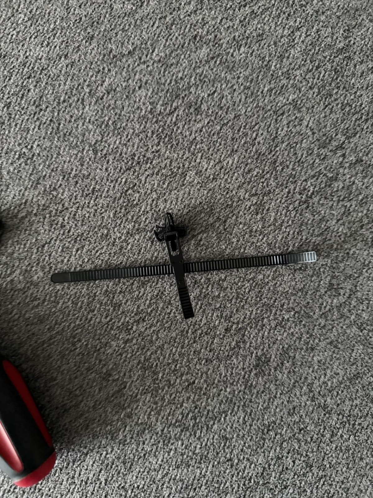 Sony A95L 77-inch customer photo 1