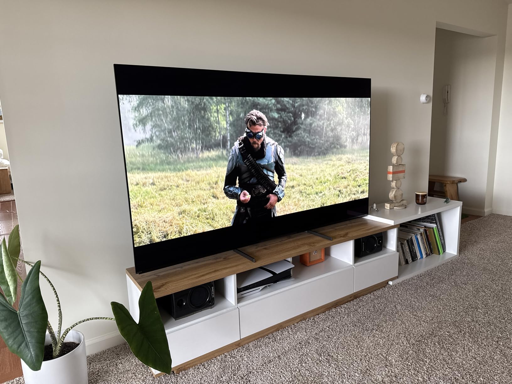 Sony A95L 77-inch customer photo 2