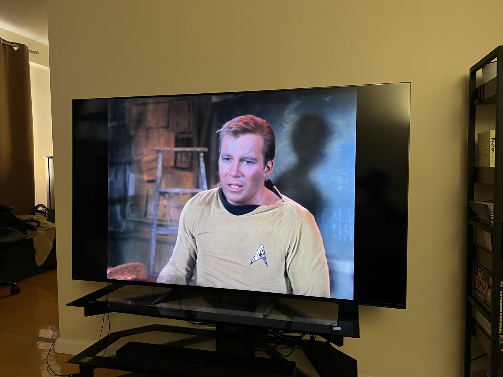 Sony BRAVIA 7 customer photo 1